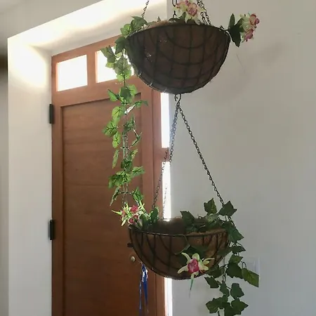Finca La Vega Zamora